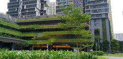 Blk 89 Skyterrace @ Dawson (Queenstown), HDB 4 Rooms #565271221